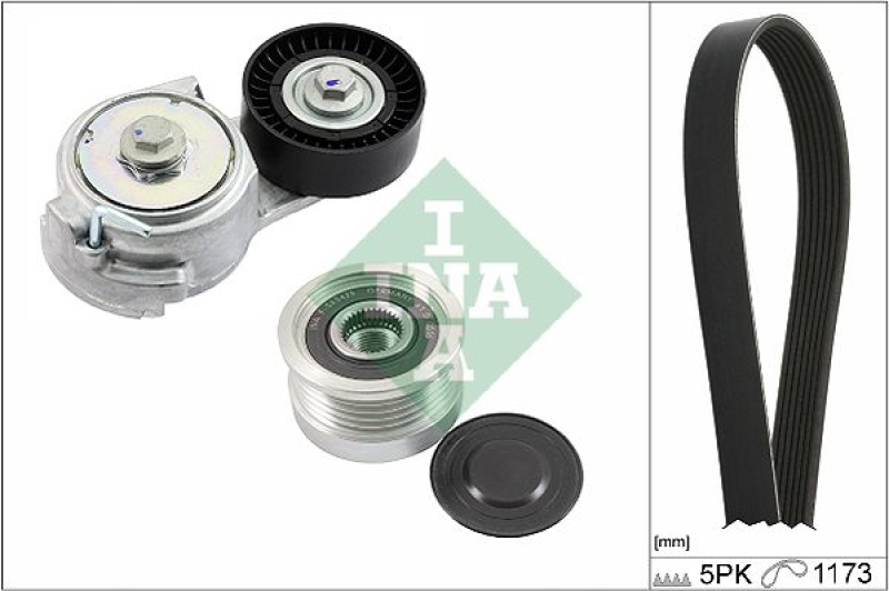 INA V-Ribbed Belt Set