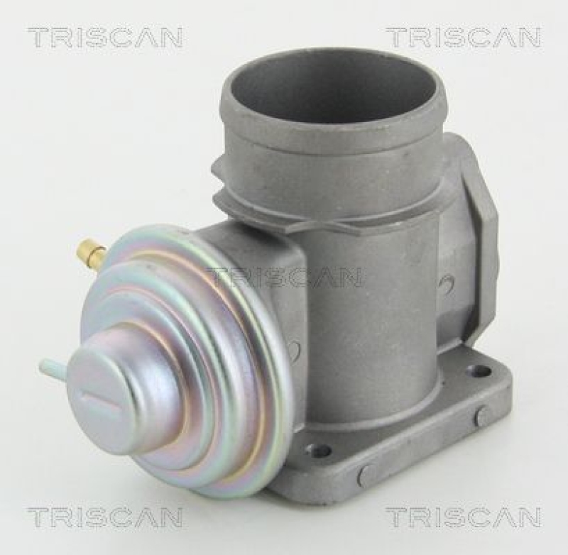 TRISCAN EGR Valve
