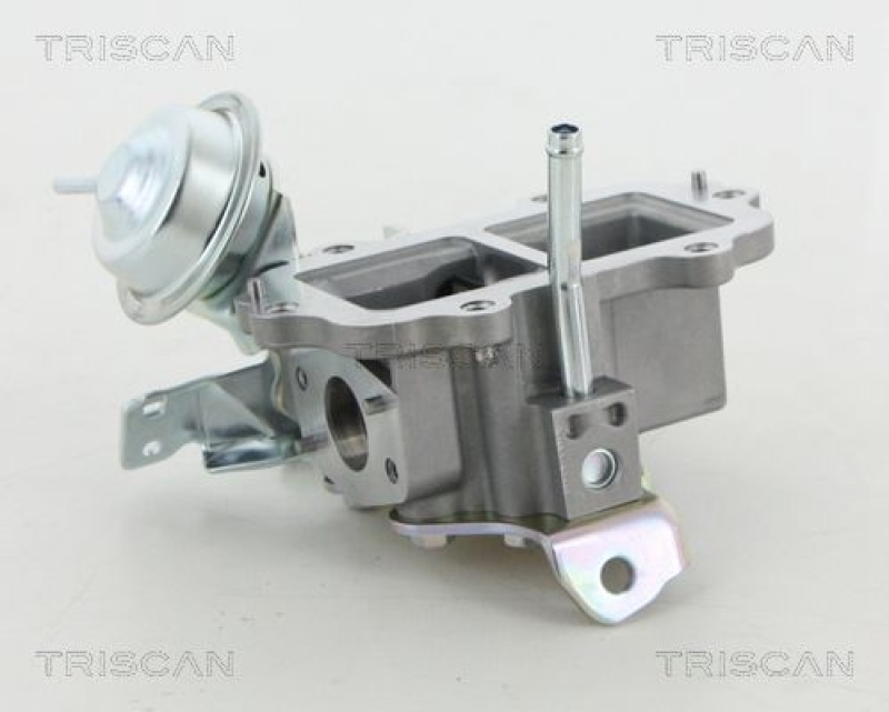 TRISCAN EGR Valve