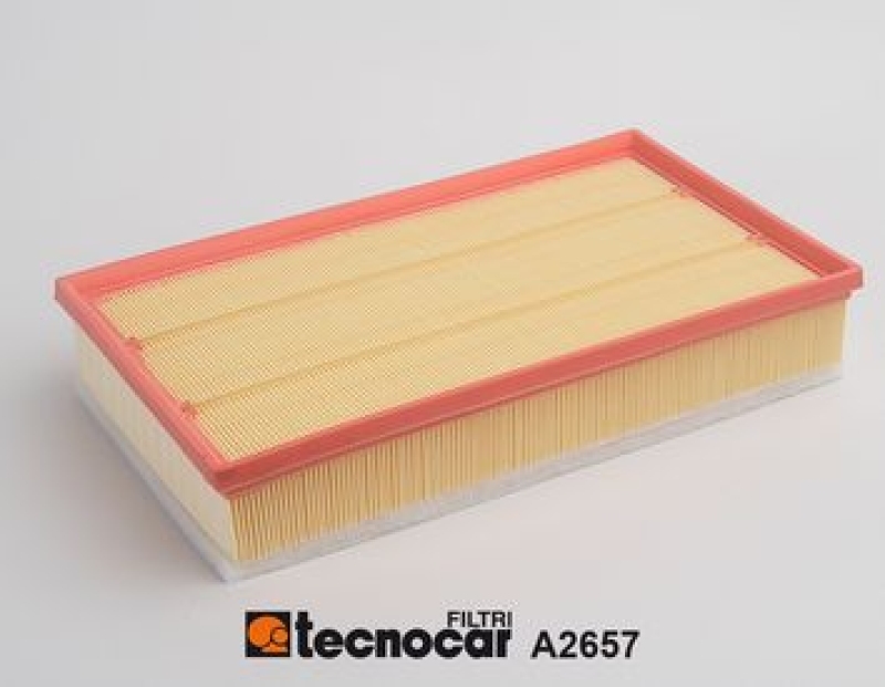 TECNOCAR Luftfilter A2657