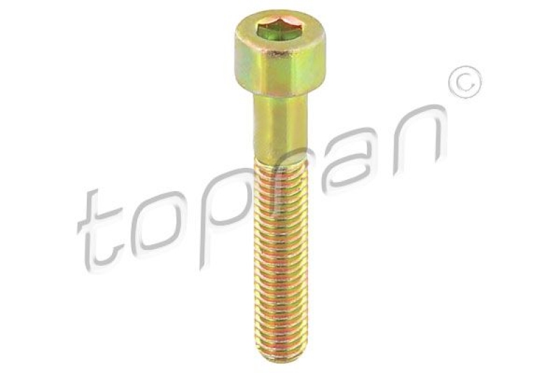 TOPRAN Schraube, Bremssattel 110708