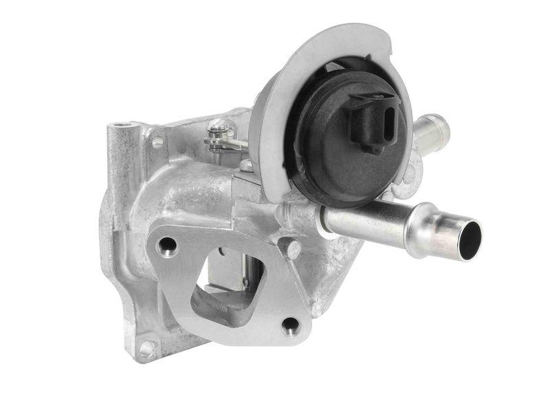 BorgWarner (Wahler) AGR-Ventil 710532D0