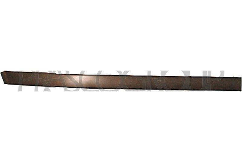 Trim/Protective Strip, bumper