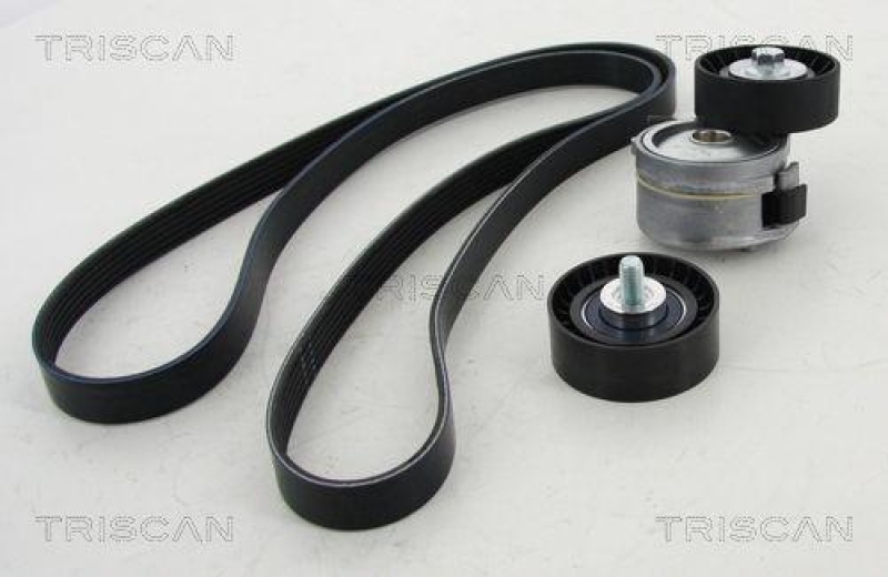 TRISCAN Keilrippenriemensatz 8642 10014