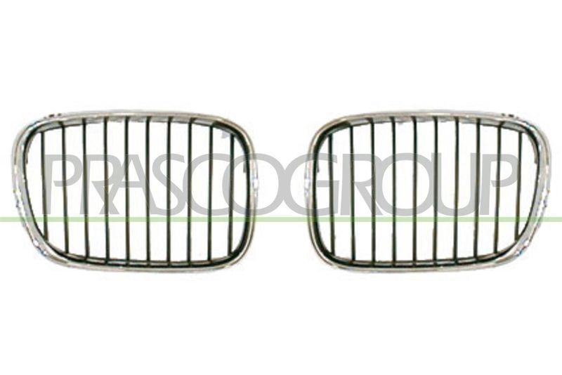 Radiator Grille
