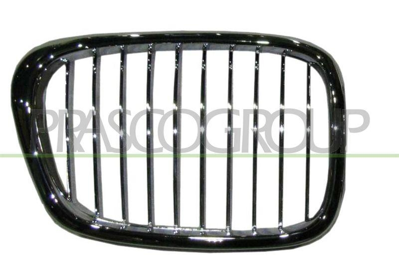 Radiator Grille