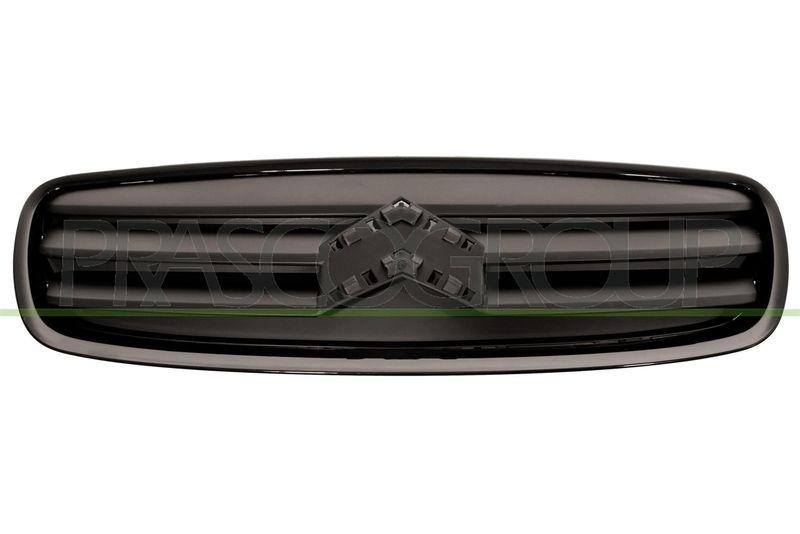 Radiator Grille