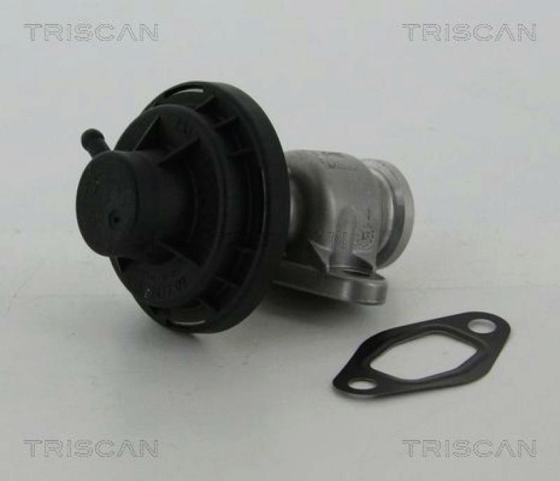 TRISCAN EGR Valve