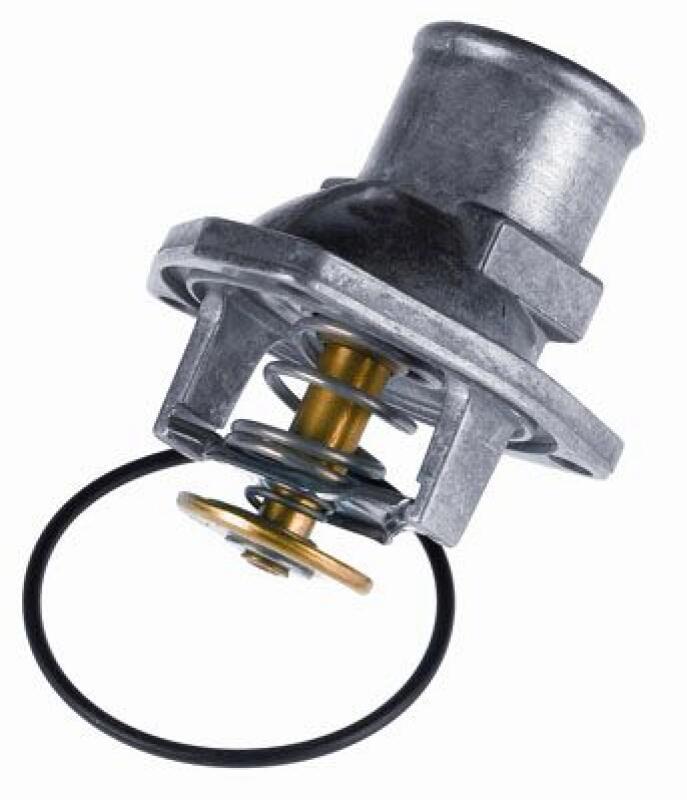 BorgWarner (Wahler) Thermostat, coolant