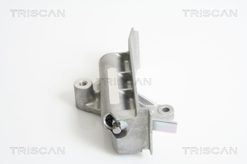 TRISCAN Schwingungsd&auml;mpfer, Zahnriemen 8646 29313