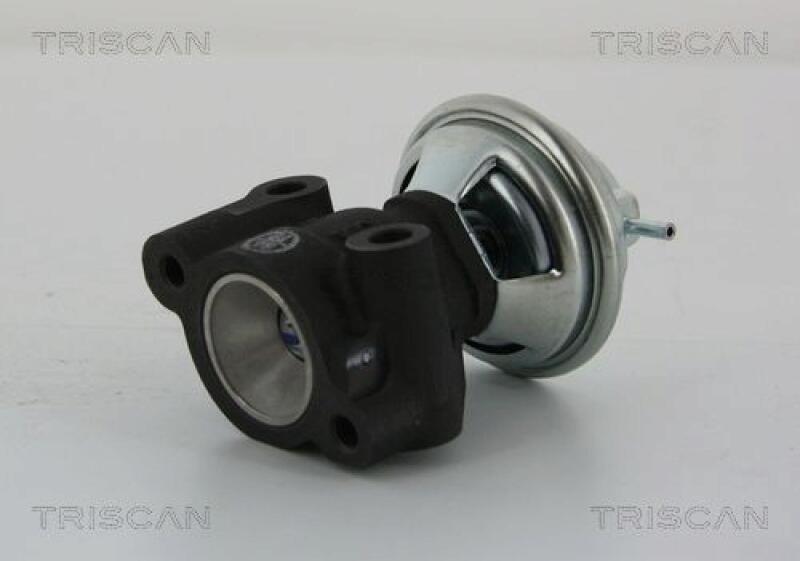 TRISCAN EGR Valve