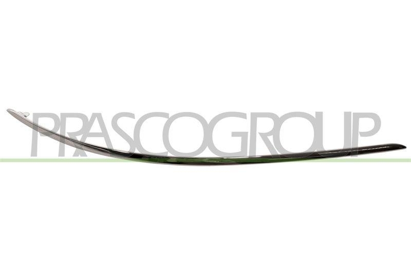 Trim/Protective Strip, bumper