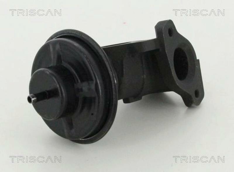 TRISCAN EGR Valve