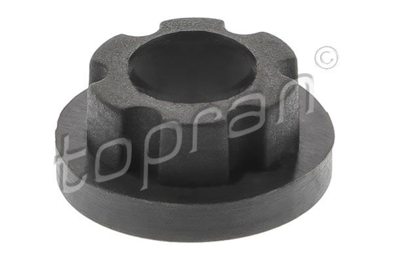 TOPRAN Mounting, alternator