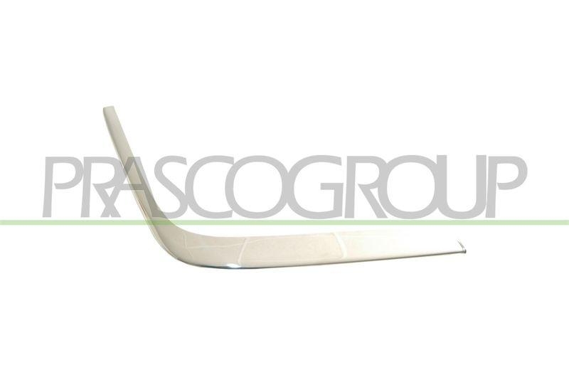 Trim/Protective Strip, bumper