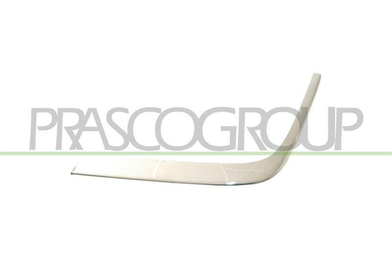 Trim/Protective Strip, bumper