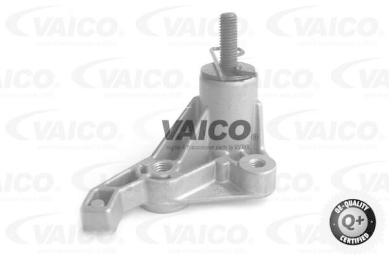 VAICO Belt Tensioner, v-ribbed belt Q+, original equipment manufacturer quality