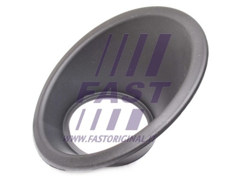 FAST Rahmen, Nebelscheinwerfer FT91641