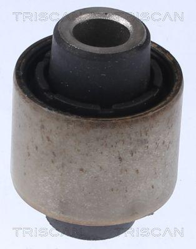 TRISCAN Mounting, control/trailing arm