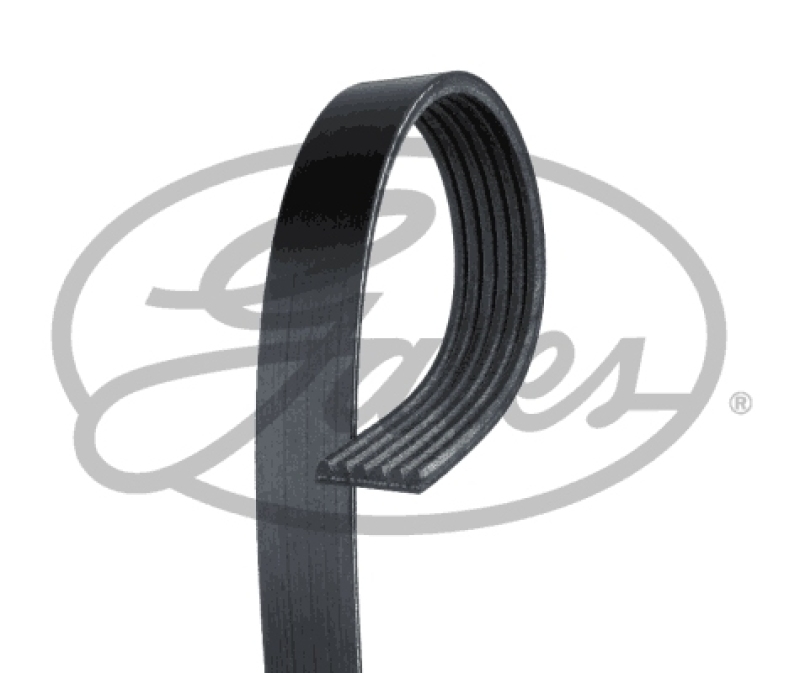 GATES V-Ribbed Belt FleetRunner&trade; Micro-V&reg;
