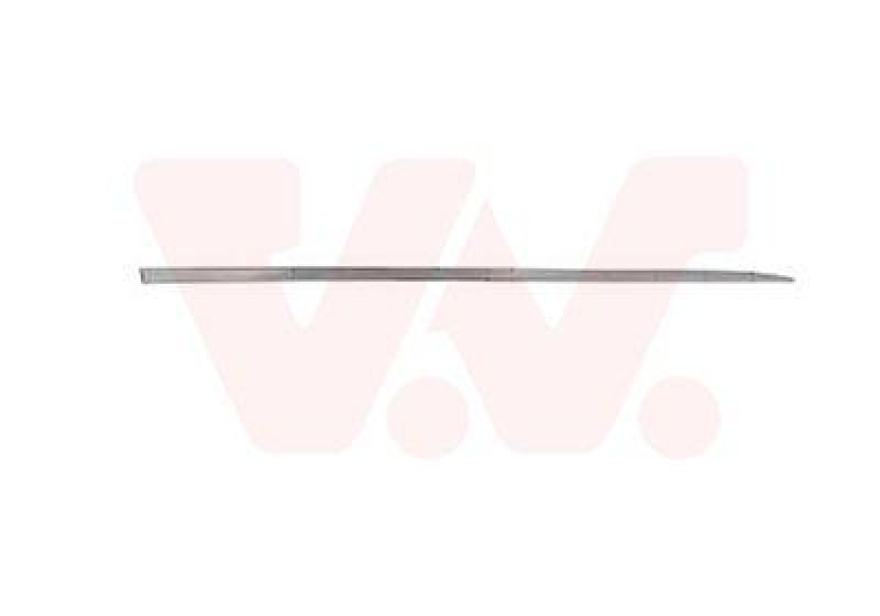 VAN WEZEL Zier-/Schutzleiste, T&uuml;r 4420404