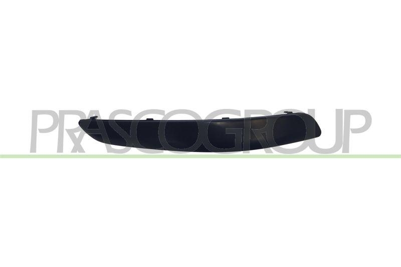 Trim/Protective Strip, bumper