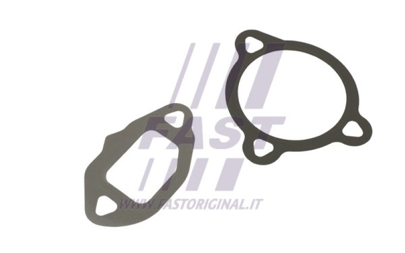 FAST Dichtungssatz, AGR-System FT50606