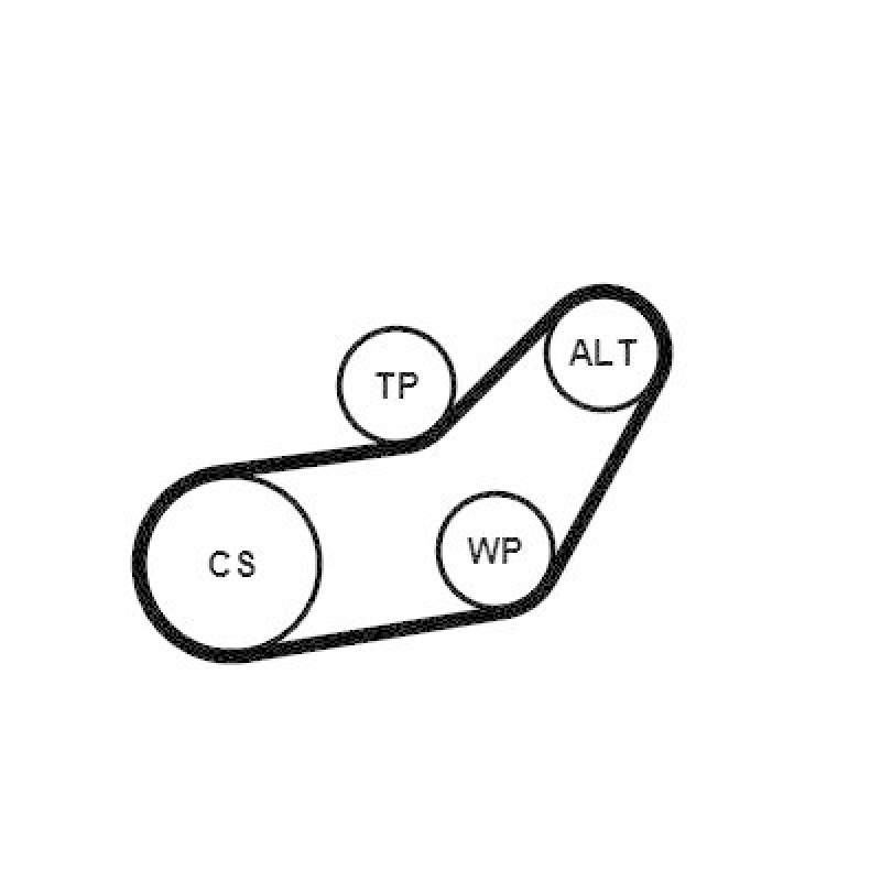 CONTINENTAL CTAM Water Pump + V-Ribbed Belt Kit