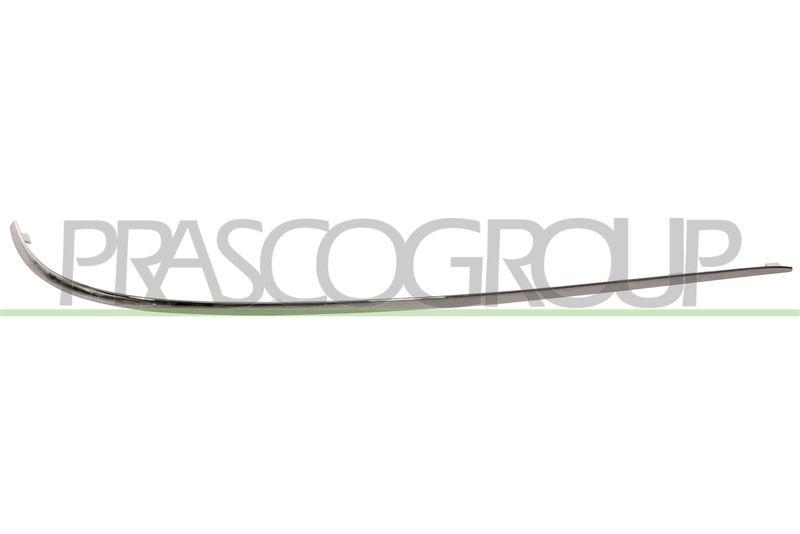 Trim/Protective Strip, bumper