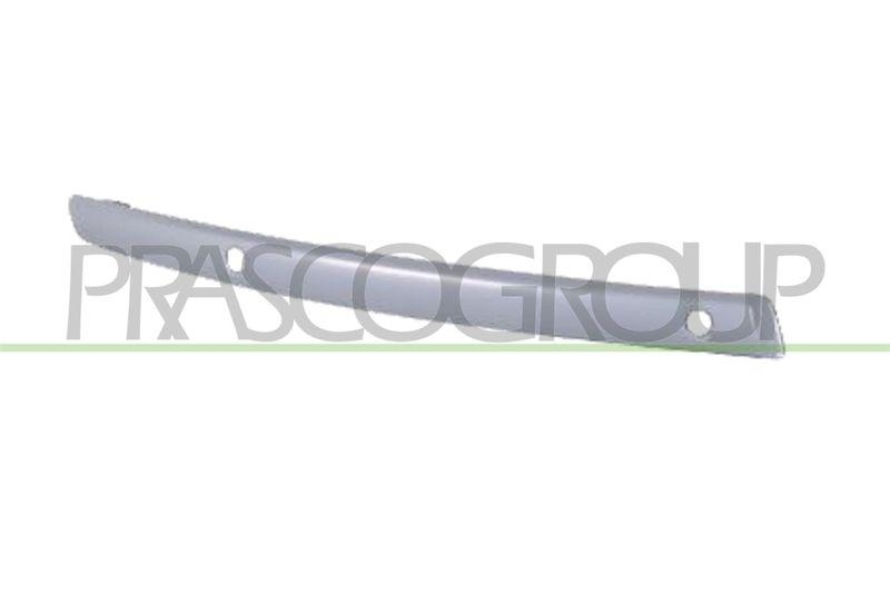 Trim/Protective Strip, bumper Premium
