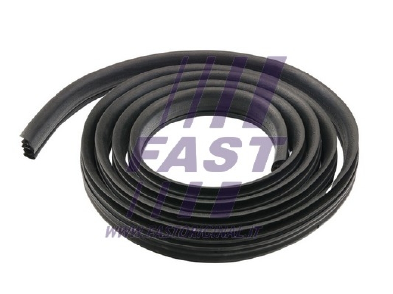 FAST T&uuml;rdichtung FT90301
