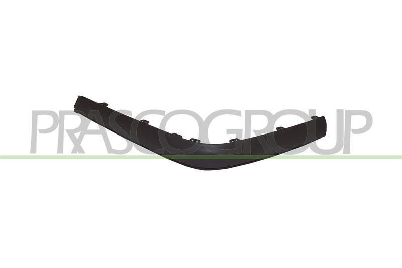 Trim/Protective Strip, bumper