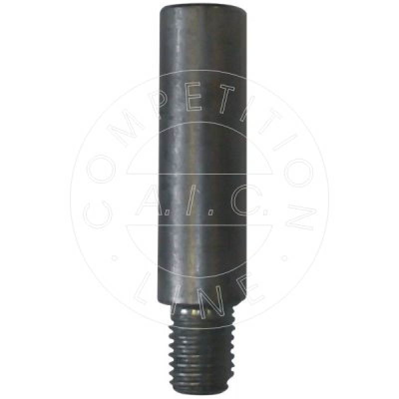 AIC F&uuml;hrungsbolzen, Bremssattel Original AIC Quality 55282