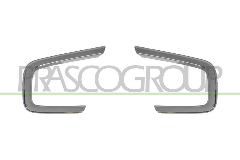 PRASCO Zier-/Schutzleiste, Sto&szlig;f&auml;nger