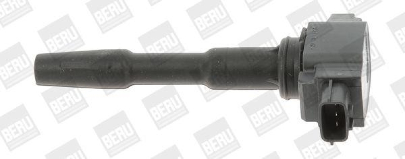 BorgWarner (BERU) Z&uuml;ndspule ZSE131