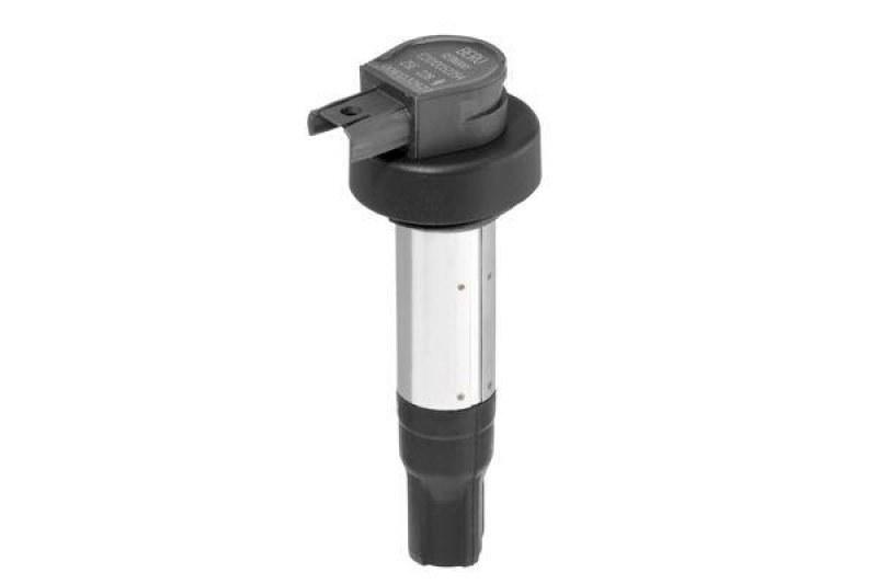 BorgWarner (BERU) Ignition Coil