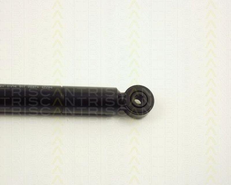 TRISCAN Vibration Damper, v-ribbed belt